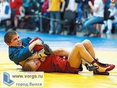 Выксунский самбист взял золото во всероссийском турнире по самбо